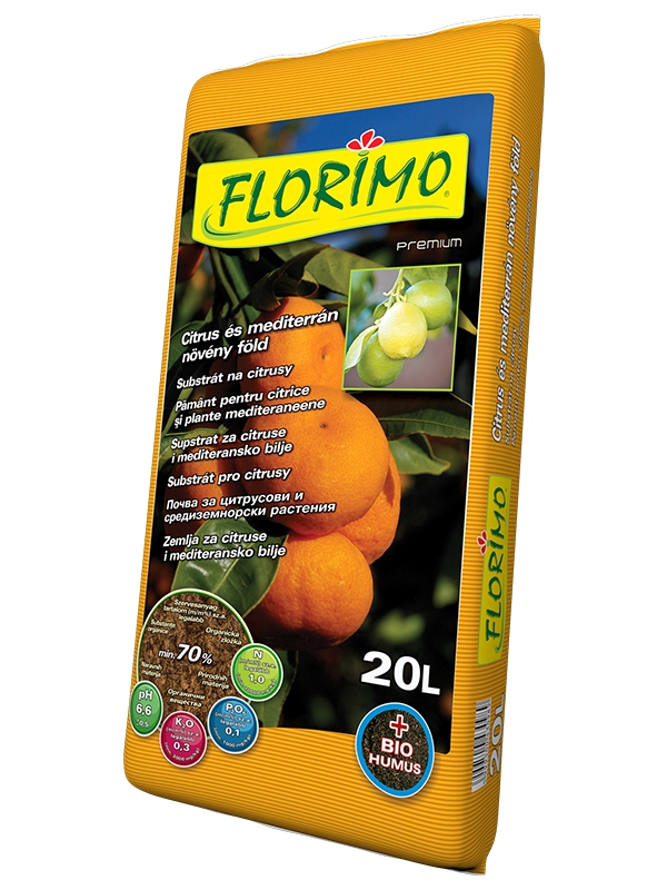 Florimo citrus és mediterrán növény föld