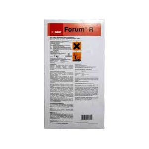 Forum R 