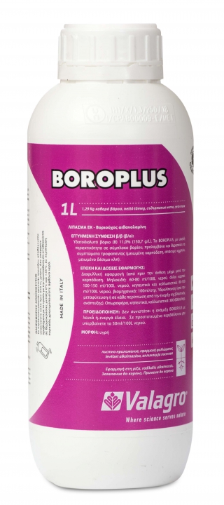 Boroplus 