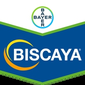 Biscaya