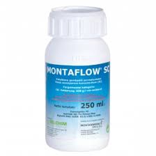 Montaflow 